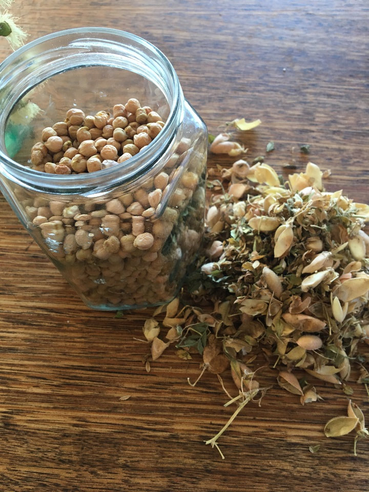Jar of chick peas with their shells on the side